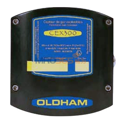 Ӣ˼��CEX 300�̶�ʽ��ȼ��������