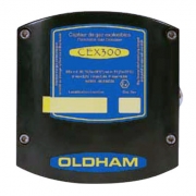 Ӣ˼��CEX 300�̶�ʽ��ȼ��������