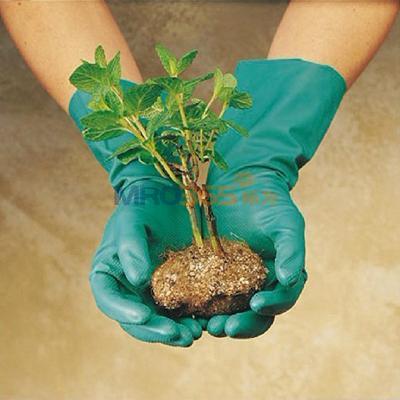 ��˼��(Ansell)Eco-Green 398X�����𽺷�������