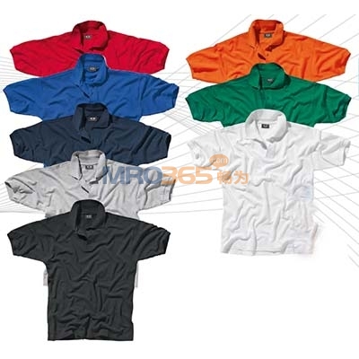 ˼��SIR 302 09R SIRFLEX POLO��