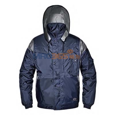 ˼��SIR 341 25 SIMPSON���мп�