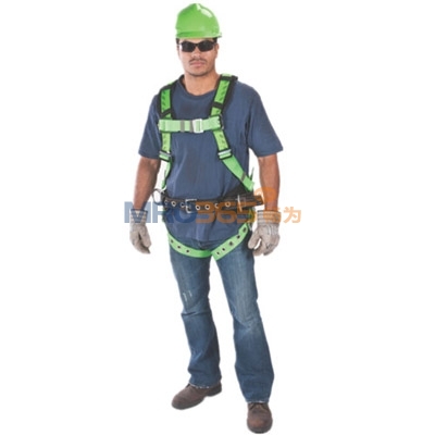 ÷˼��MSA 10041607 TechnaCurvȫ��ʽ��ȫ��