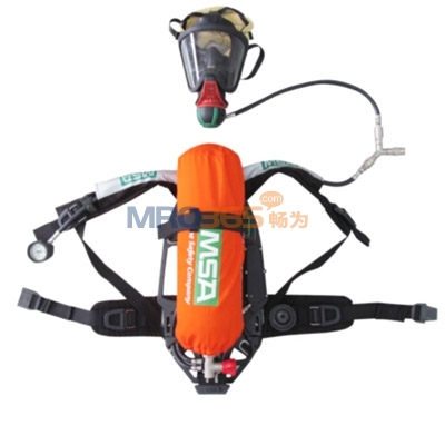 ÷˼��MSA AG2100������ѹʽ����������