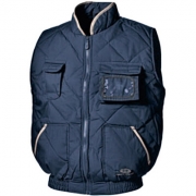 ˼��SIR 34040 Darwin��ů͸����������