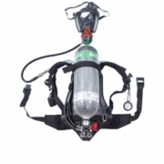 ÷˼��MSA 10125432 bd2100-MAX�Ը�ʽ���������������С�