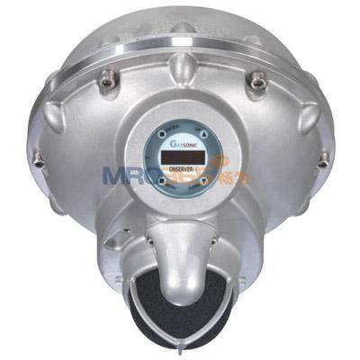 ÷˼��MSA GASSONIC OBSERVER-i����������й©̽����