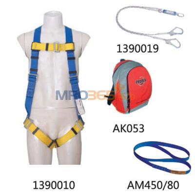 ������3M  FP003813910 ���ּܰ�ȫ����ҵ��װ��1390019+1390010+AK053+AM450/80��