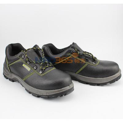 ������ 301102 GOULTII S1P �Ͱ�����̰�ȫЬ