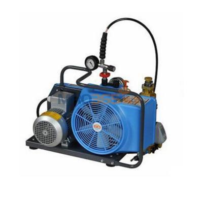 ����Τ�� BC163099R JII-W-H  �綯������(220V)