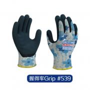 ����#539�ͱ����� ĥɰ�齺Ϳ��