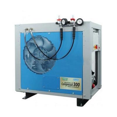 ÷˼��MSA 10126049 300HG��ѹ��������ѹ����