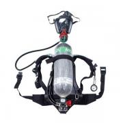 ÷˼��MSA 10147368 BD2100-MAX���������������С�