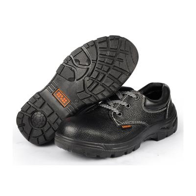 ���� SC-8805 �����ͷ��̴���ĥ��ȫЬ
