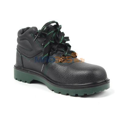 ����Τ�� BC6240474 Globe���ҷ����籣ů�ڳ��аȫЬ