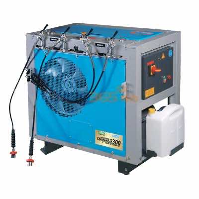 ÷˼��MSA 10126048 300H/300HG��ѹ��������ѹ����