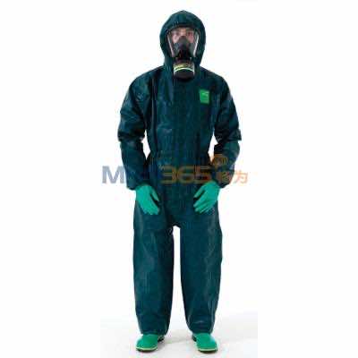 ���  60501203  Microchem4000������