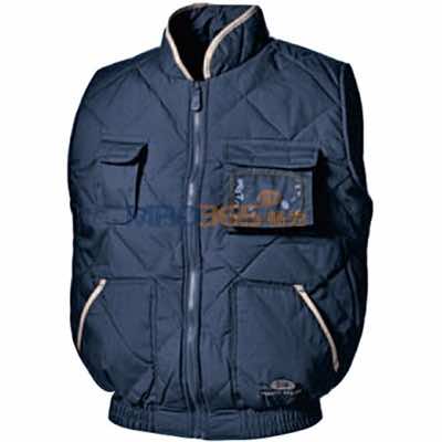 ˼��SIR 34040 Darwin��ů����