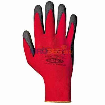 SIR˼����  11996  Reddy��������