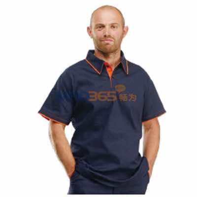 �׿���PAH ��ȼ��Polo��