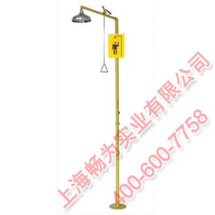 不锈钢紧急顶式冲淋器
